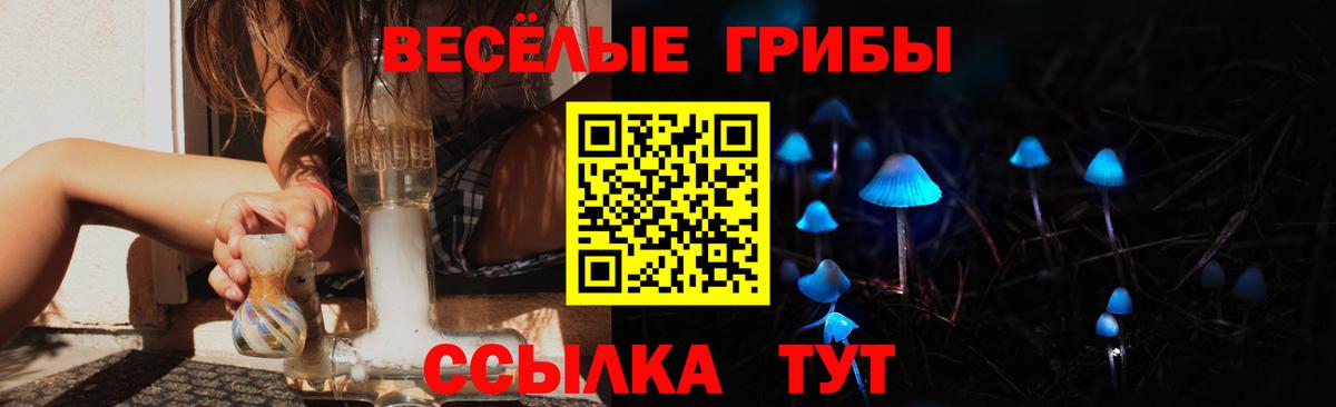 Псилоцибиновые грибы мицелий Красноярск